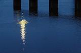 Canal Reflection_22140-2